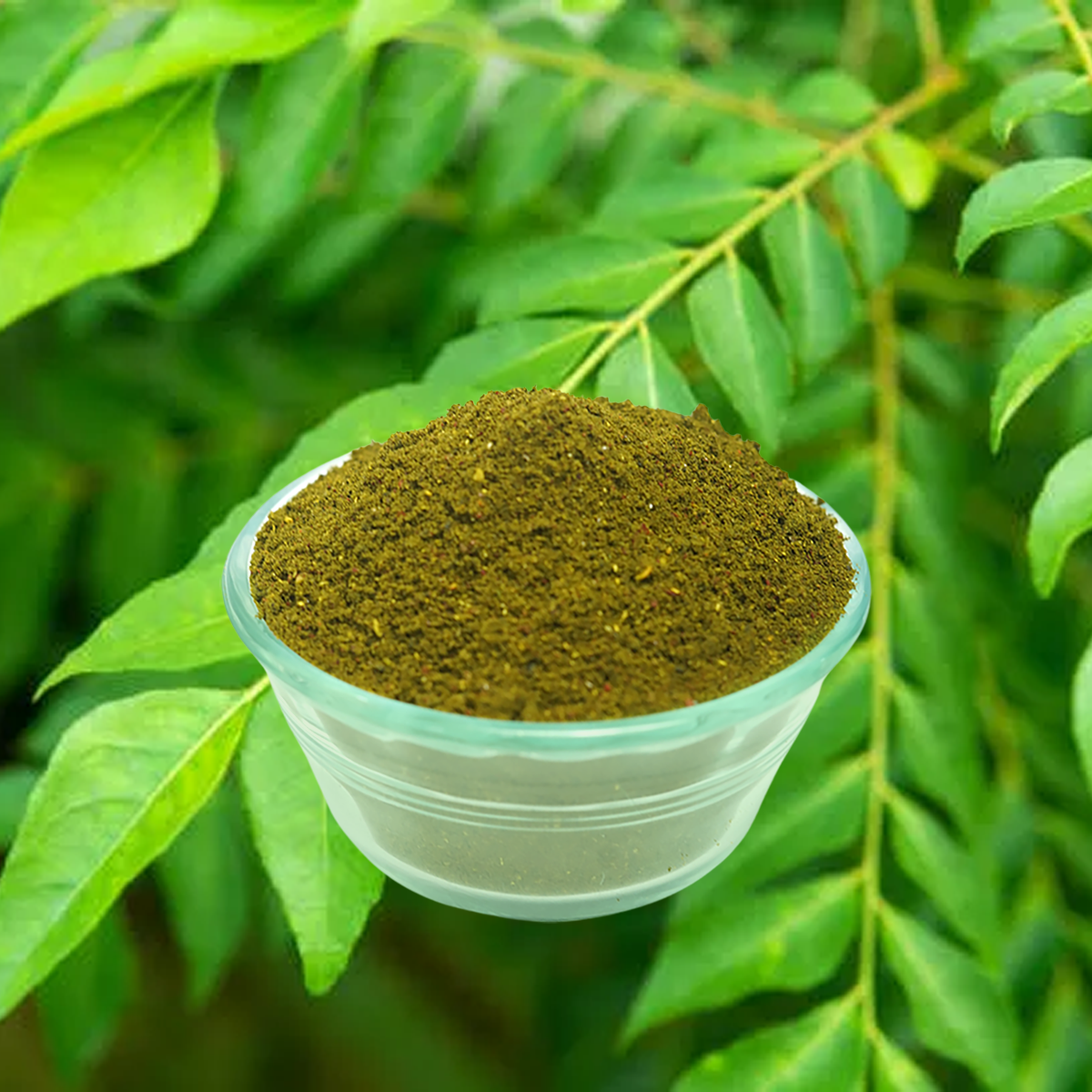 Almond Curryleaf Powder