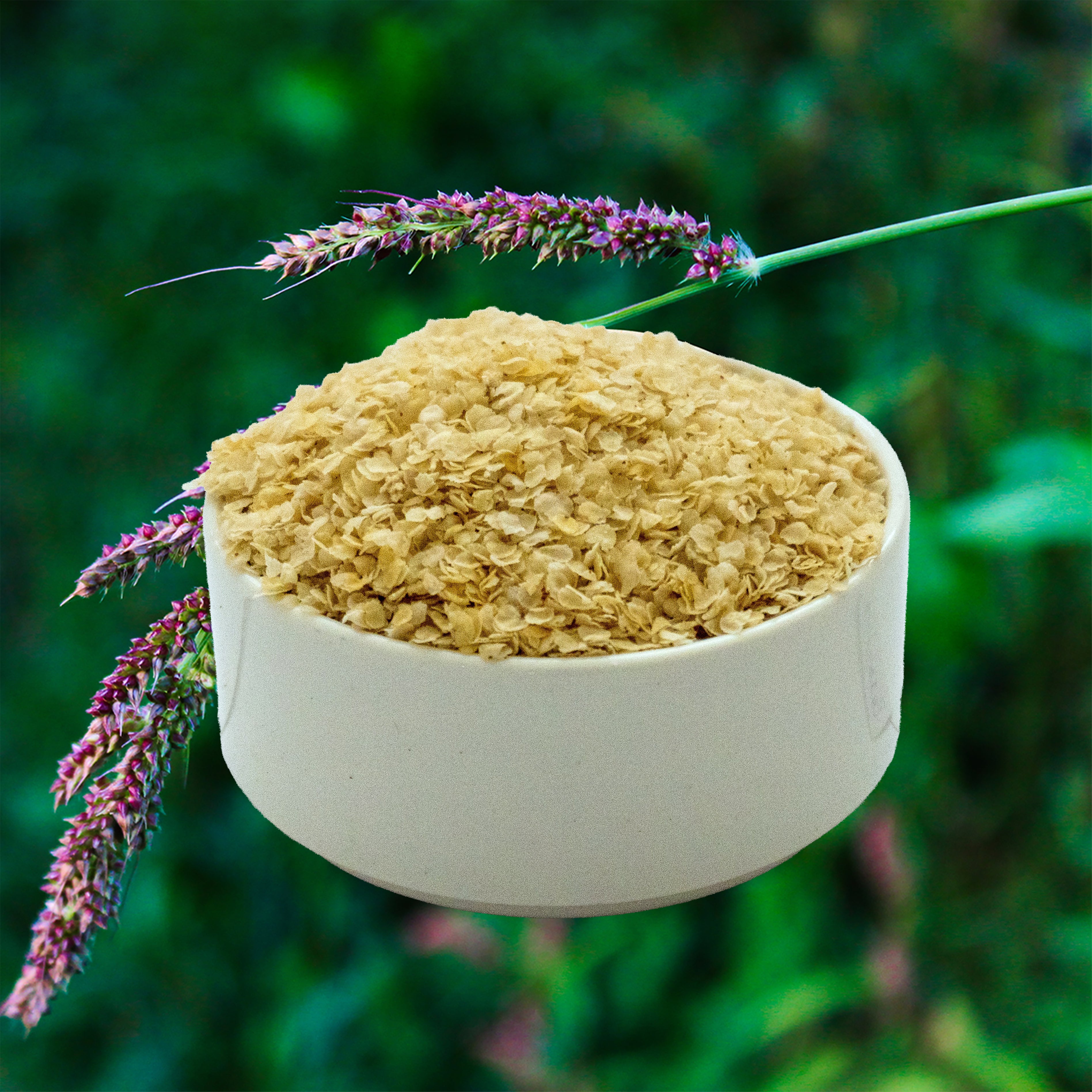 Barnyard Millet Flakes