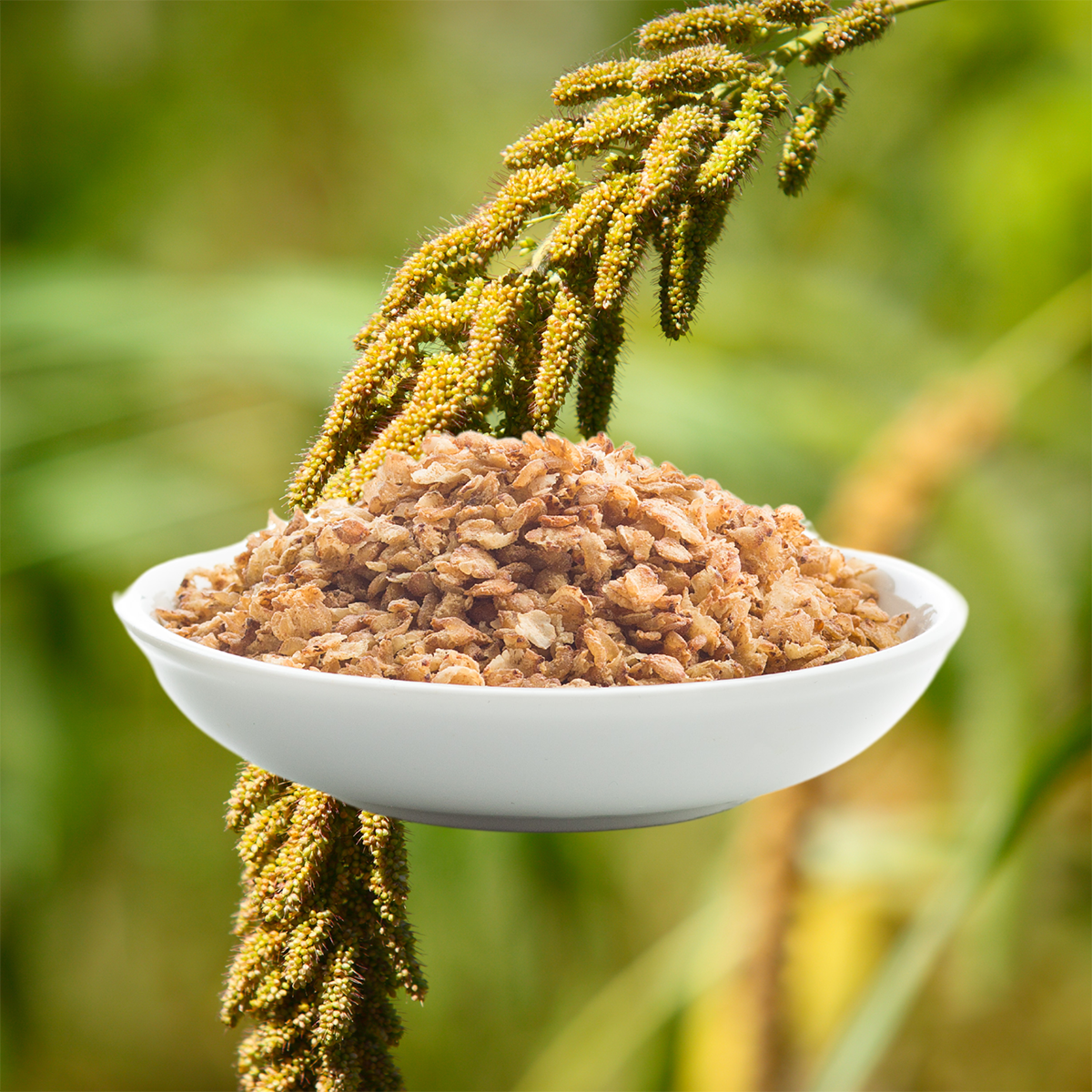 Brown Top Millet Flakes