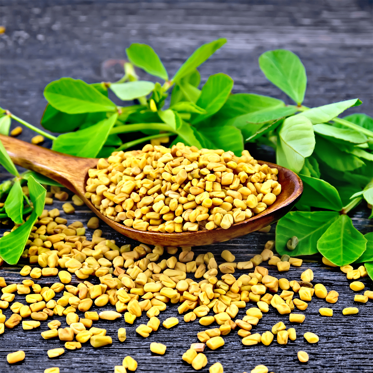 Fenugreek Seeds