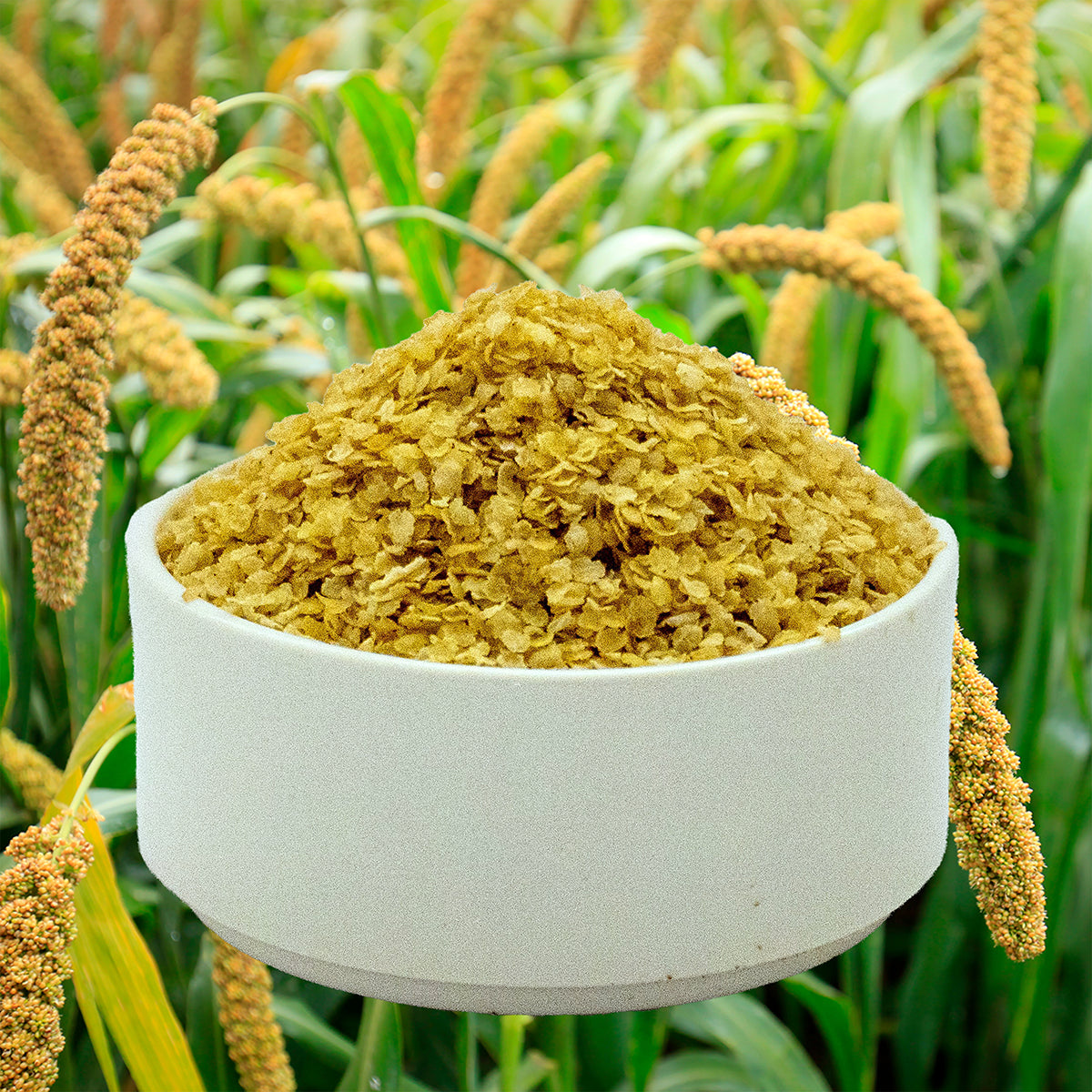 Foxtail Millet Flakes