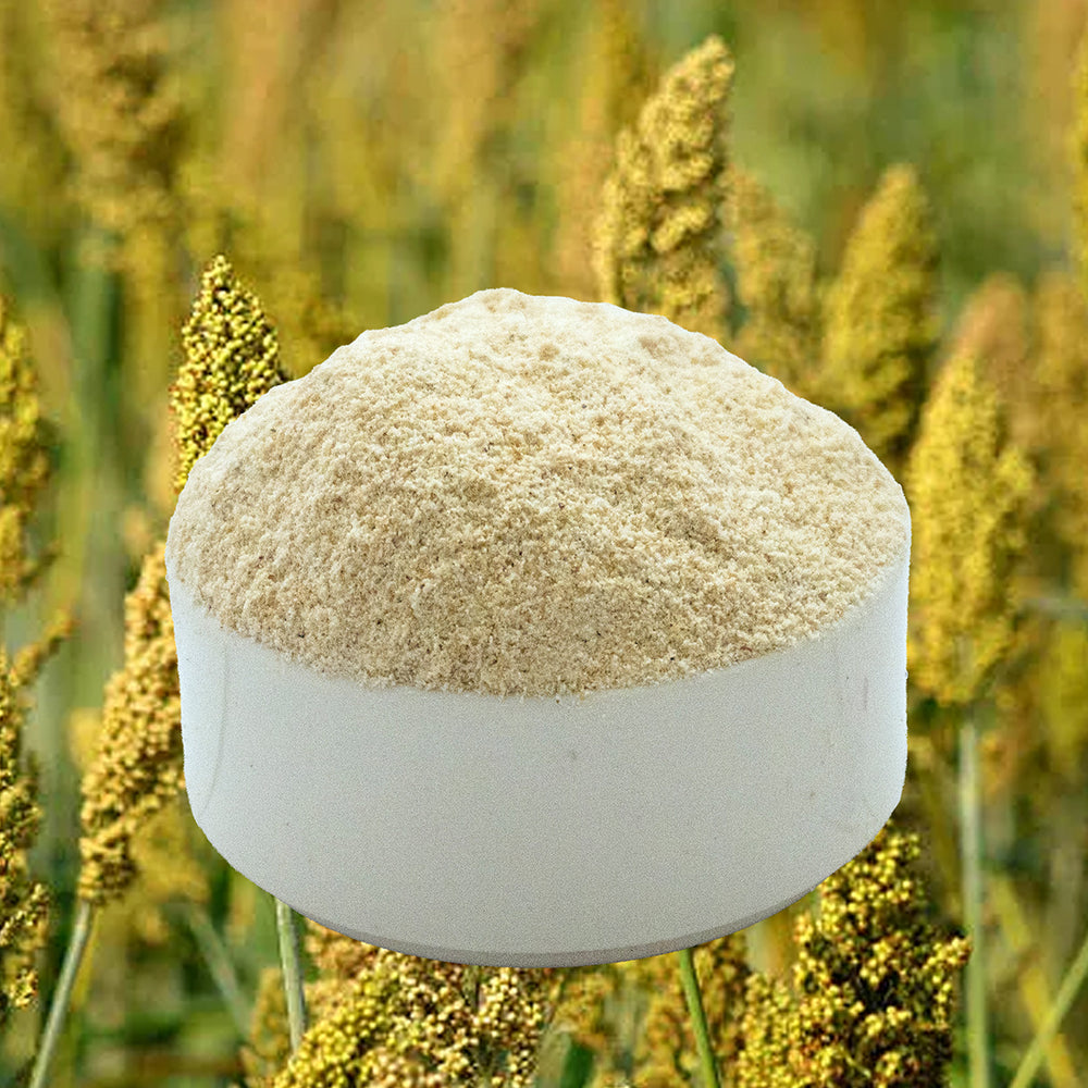 Jower Ravva Jowar Idli Ravva